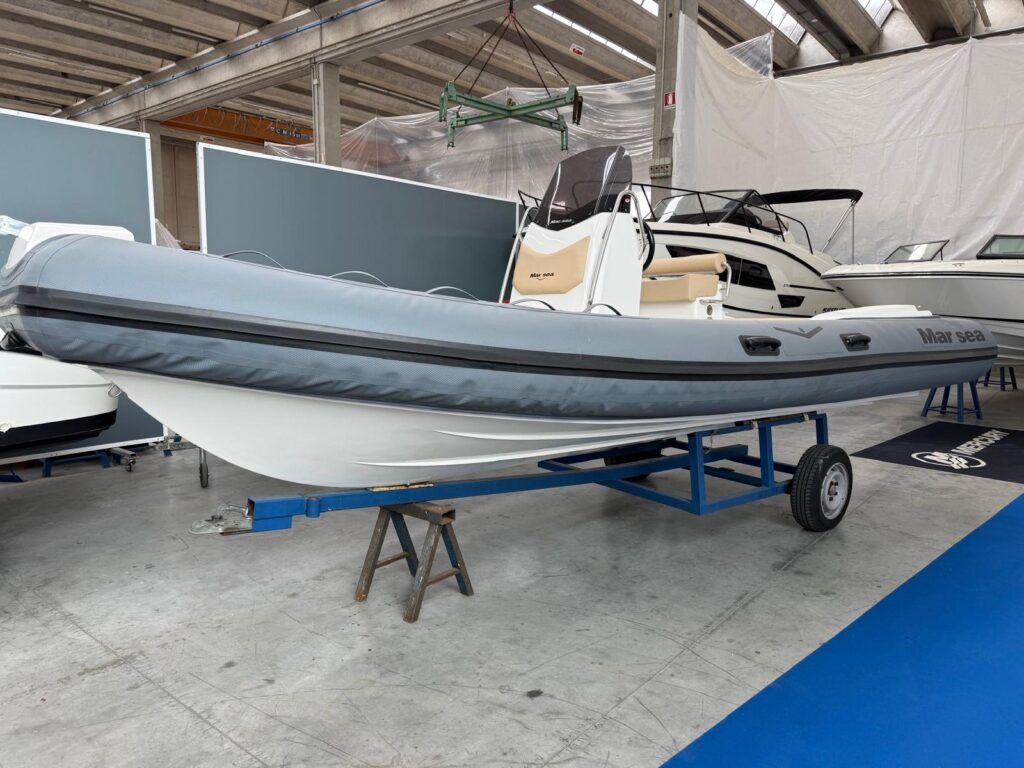 Marsea 110 + Mercury 100