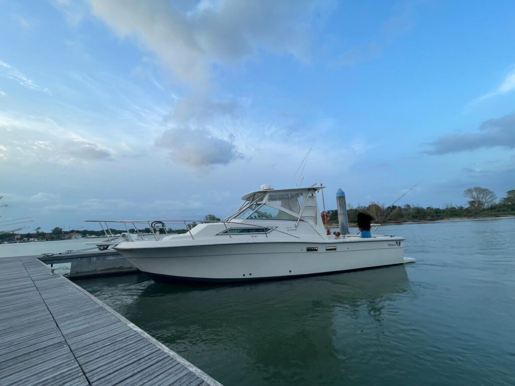 Wellcraft 2800 Costal+2 Mercruiser Mag 350 Mpi