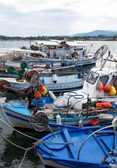 boston whaler a pesca