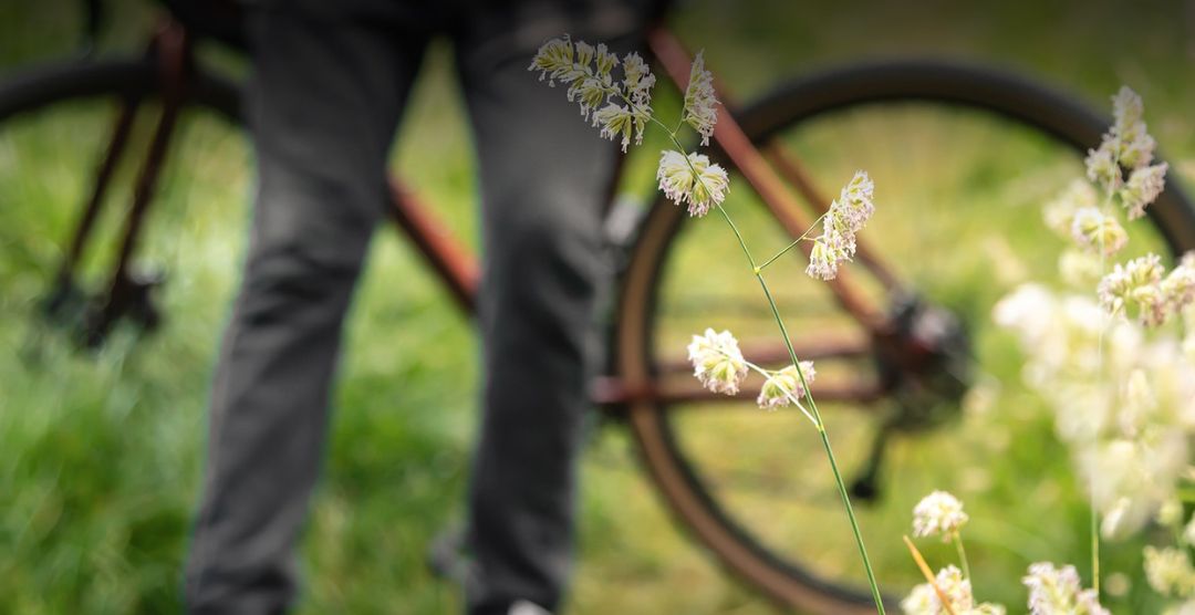 Pedalare tra natura e mare l’esperienza EcoRent by Campello Marine