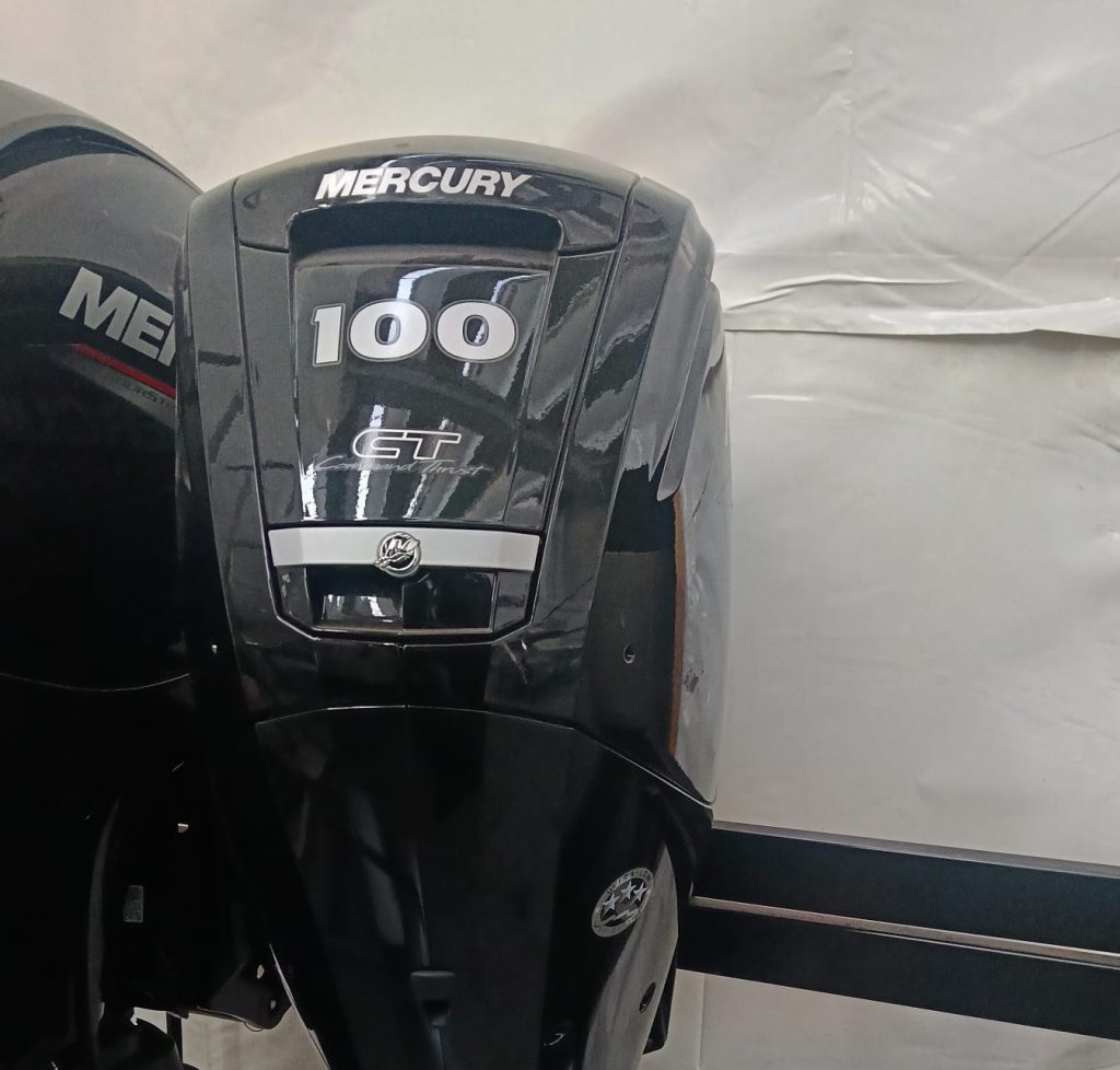 Mercury 100 elpt CT