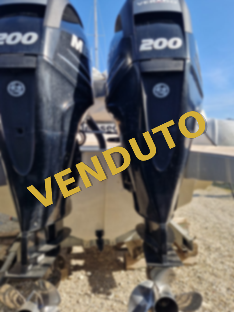 Coppia Mercury 200 Verado XL